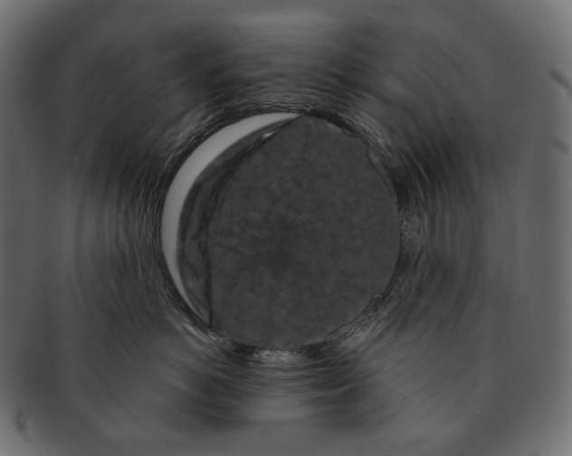 X0000091530766200709071040