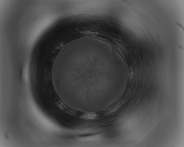 X0000091530767200709071040