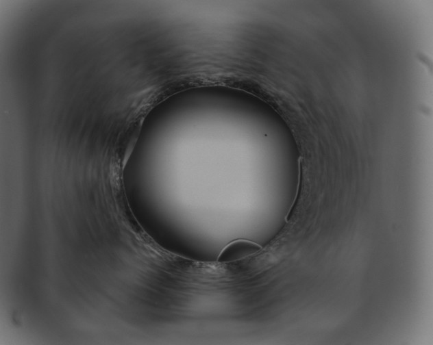 X0000091530768200709071040