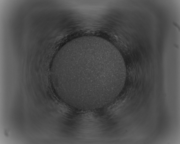 X0000091530769200709071040