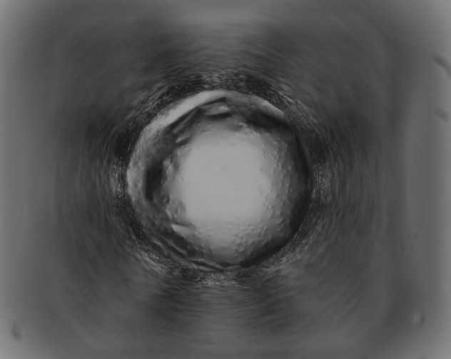 X0000091530770200709071040