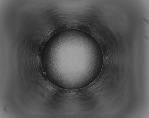 X0000091530772200709071039