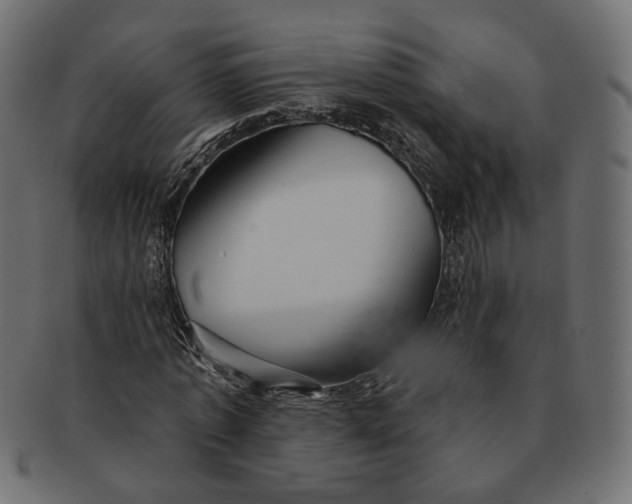 X0000091530773200709071039