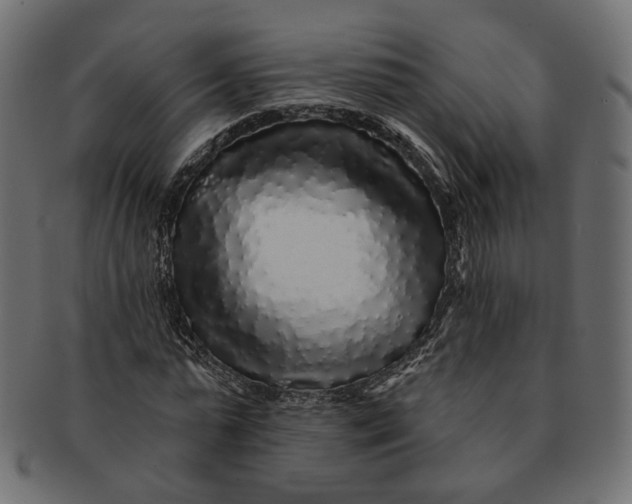 X0000091530775200709071039