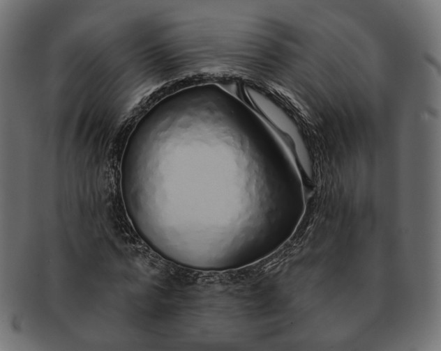 X0000091530776200709071039