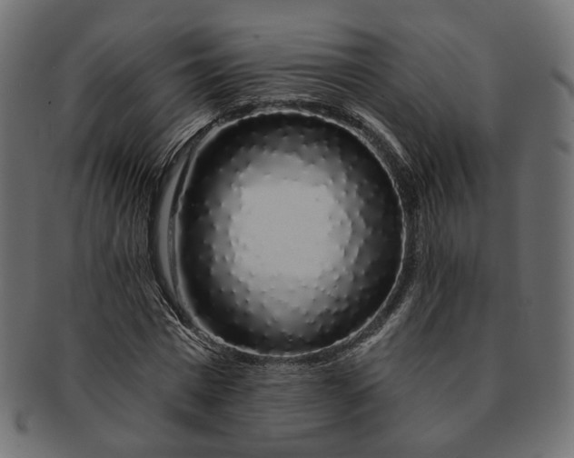 X0000091530777200709071039