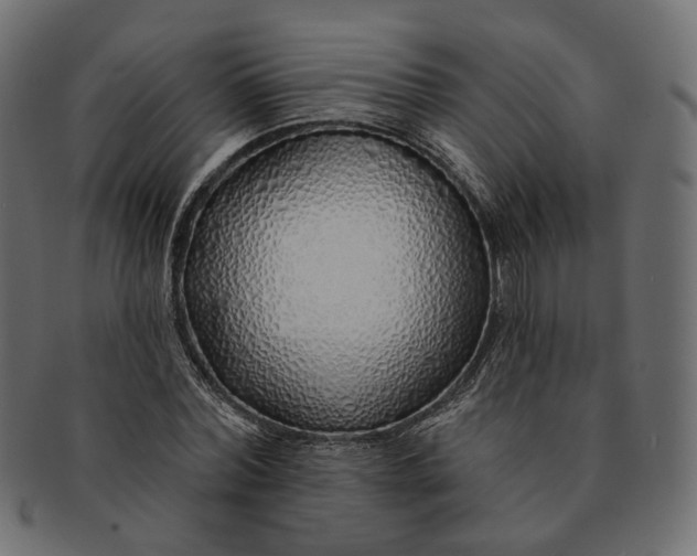 X0000091530780200709071039