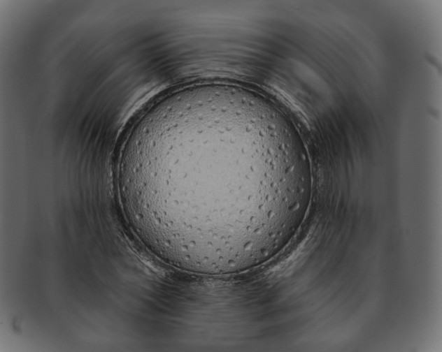 X0000091530782200709071039