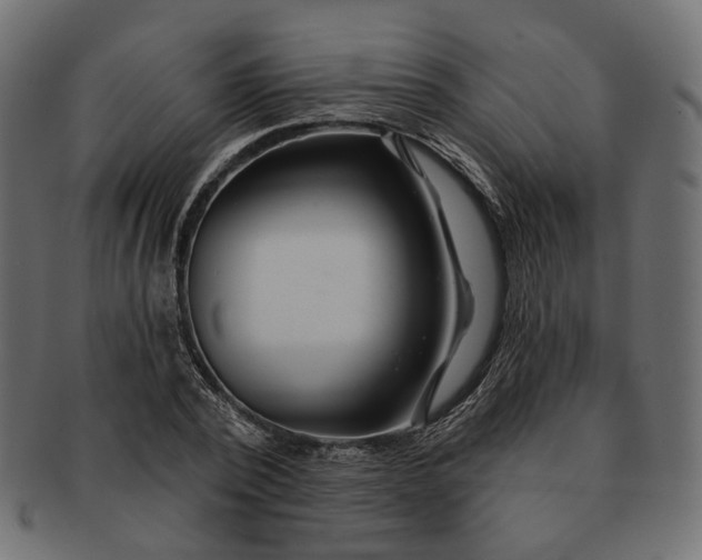 X0000091530784200709071039