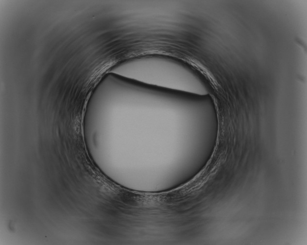 X0000091530785200709071039