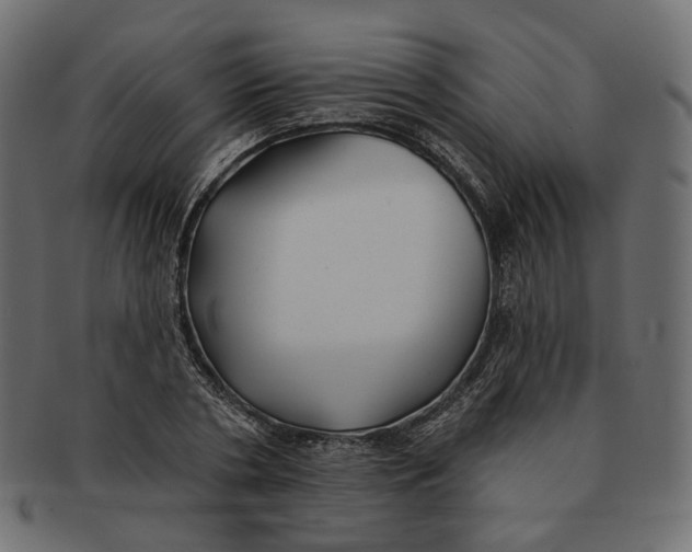 X0000091530786200709071039