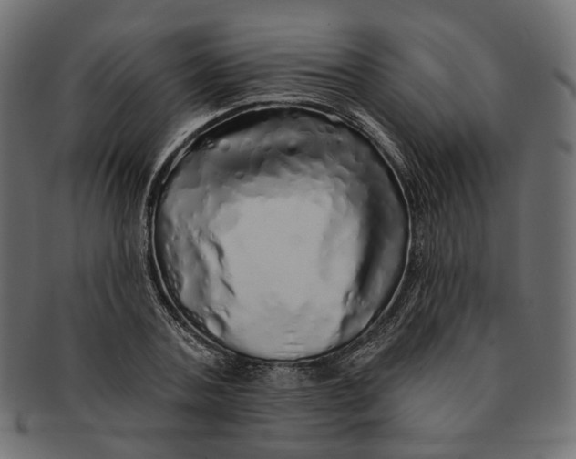 X0000091530787200709071039