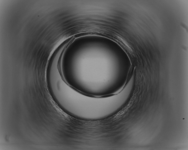 X0000091530788200709071039
