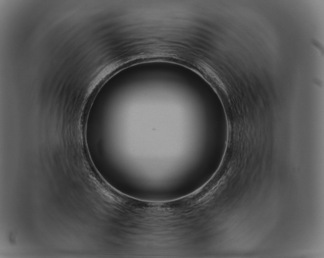 X0000091530789200709071039