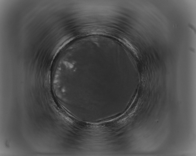 X0000091530790200709071039