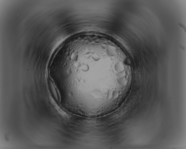 X0000091530791200709071039