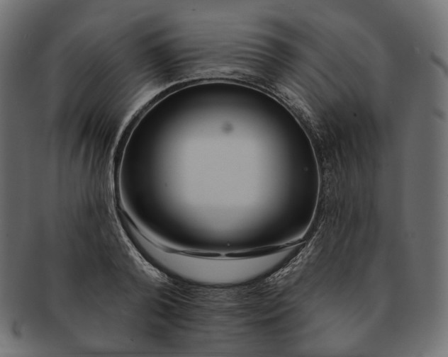 X0000091530792200709071039