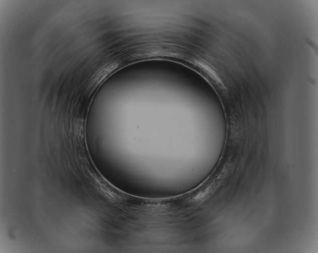 X0000091530793200709071039