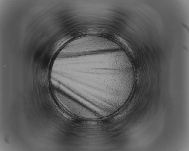 X0000091530794200709071039