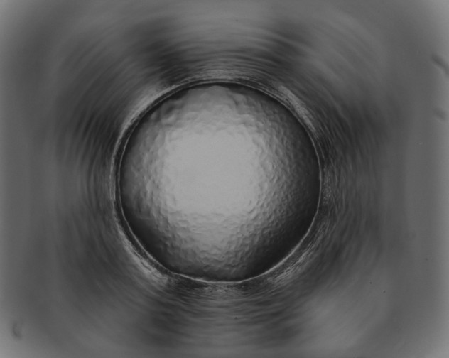 X0000091530795200709071039