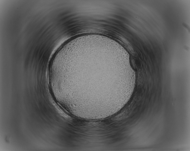 X0000091530796200709071039