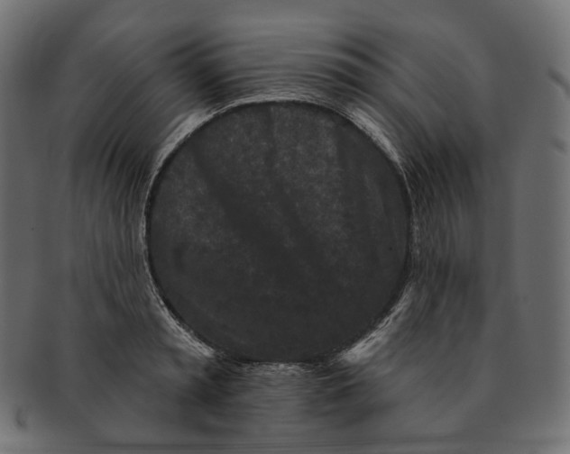 X0000091530797200709071039