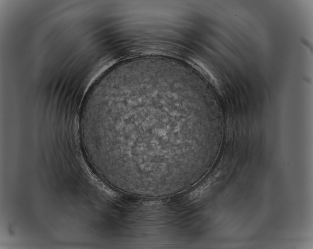 X0000091530798200709071039
