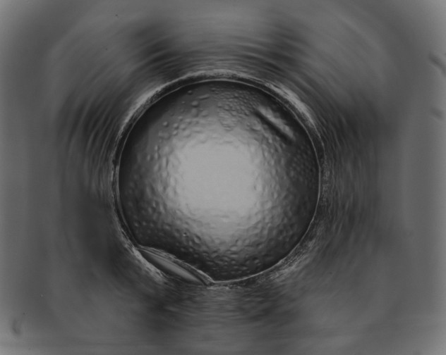 X0000091530799200709071039