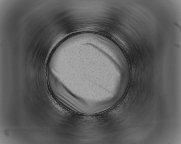 X0000091530800200709071039