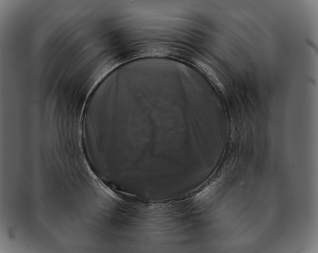 X0000091530802200709071039