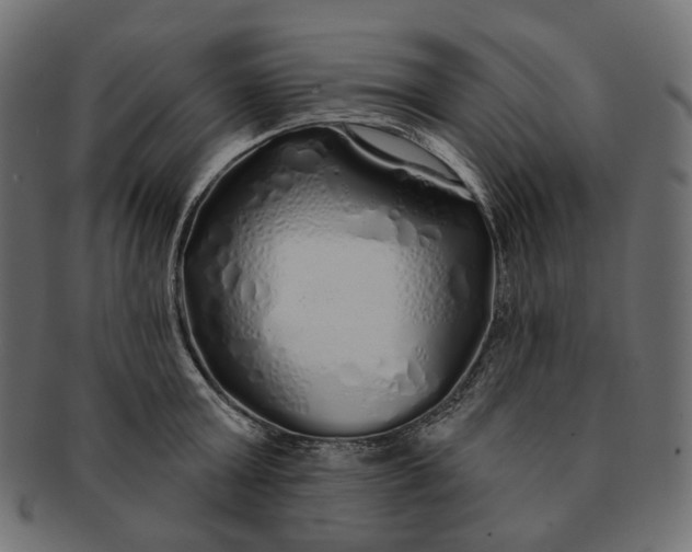 X0000091530803200709071039