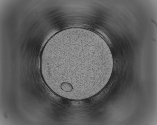 X0000091530804200709071039