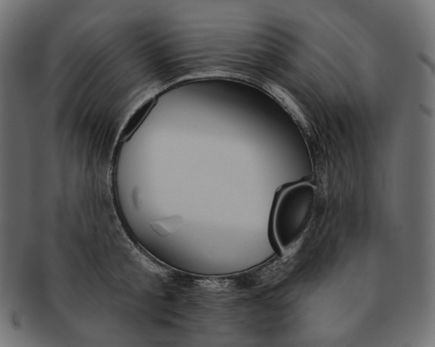 X0000091530805200709071039