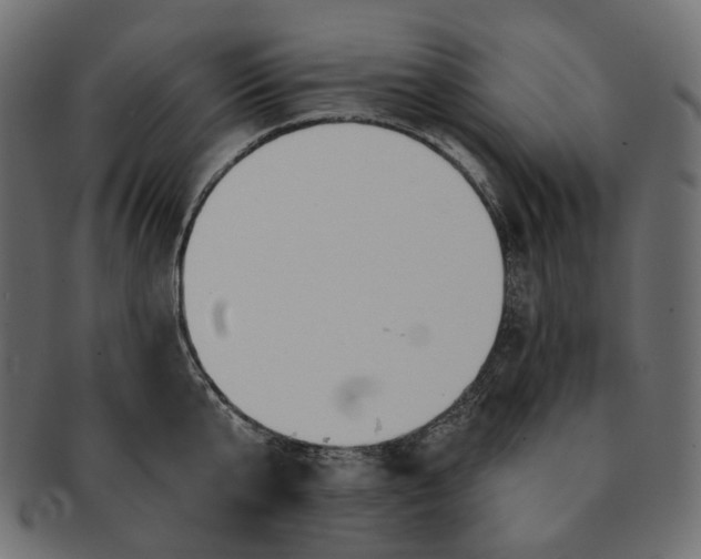 X0000091530807200709071039