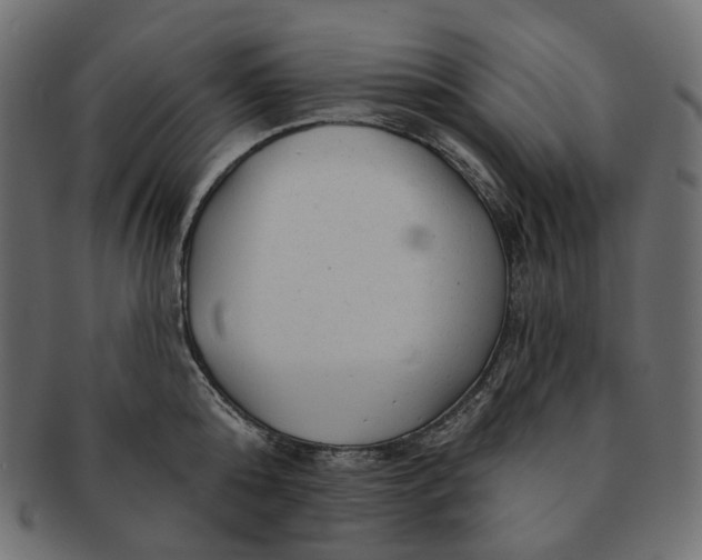 X0000091530808200709071039