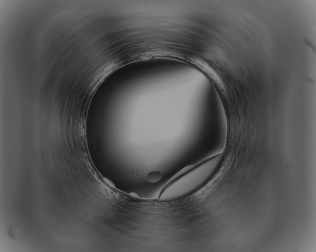 X0000091530809200709071039