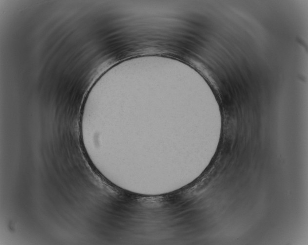 X0000091530810200709071039