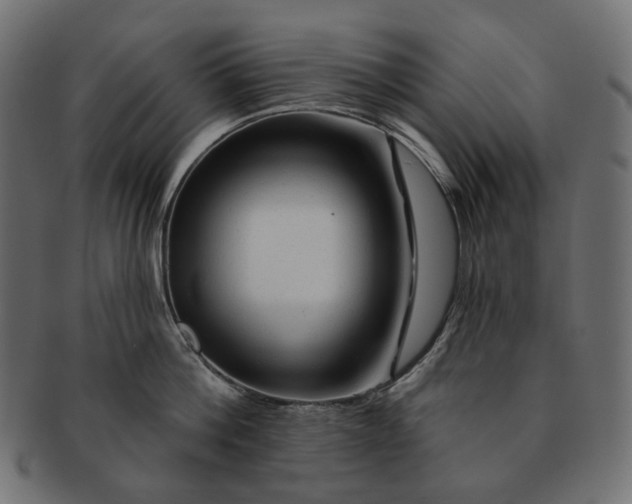 X0000091530812200709071039
