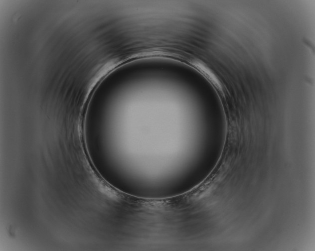 X0000091530813200709071039