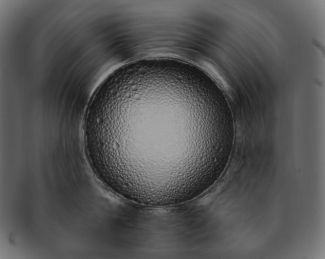 X0000091530814200709071039