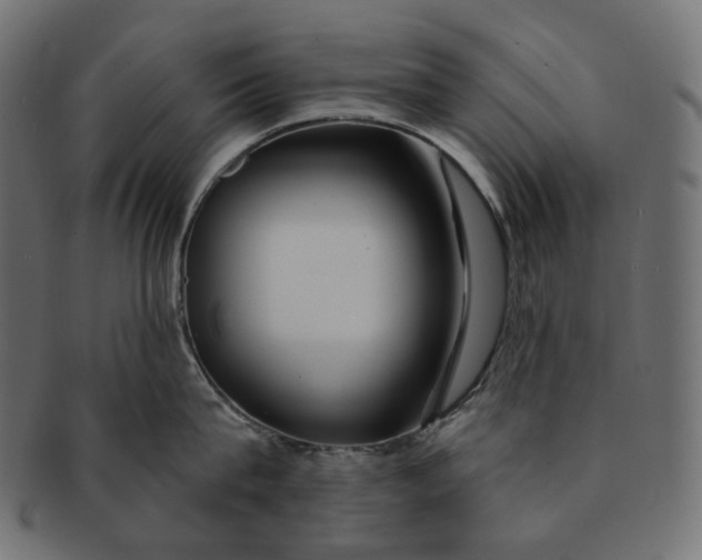 X0000091530815200709071039