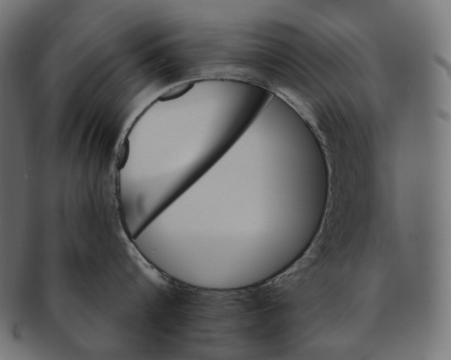 X0000091530816200709071039