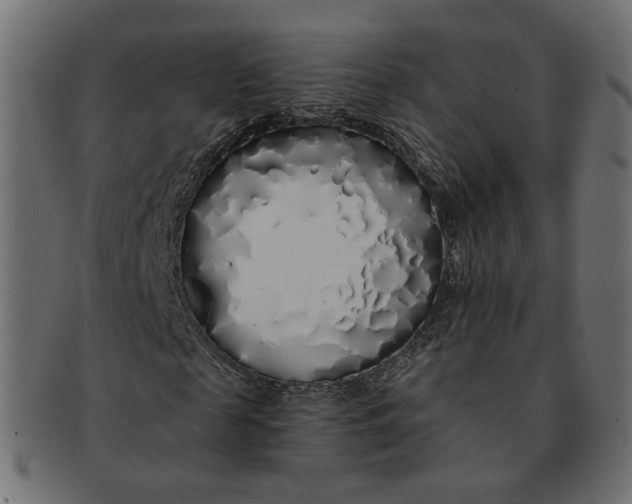 X0000091530817200709071038