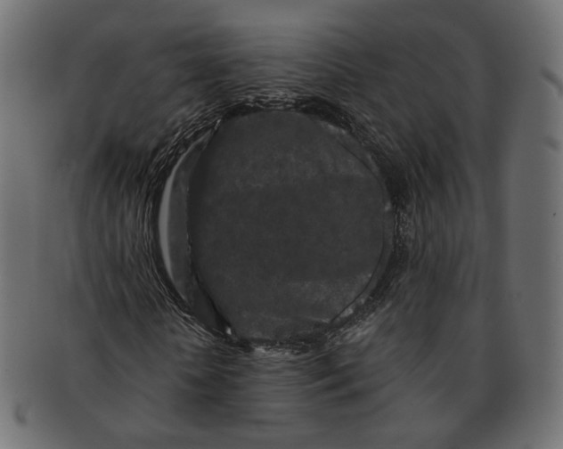 X0000091530818200709071038