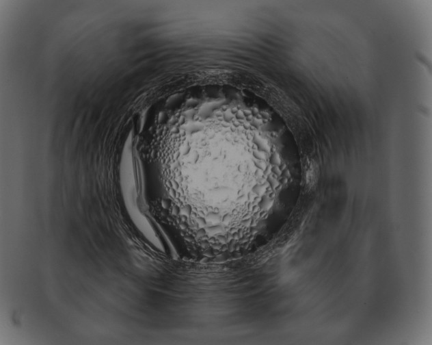 X0000091530819200709071038