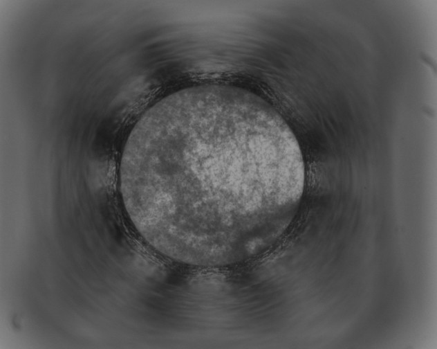 X0000091530820200709071038