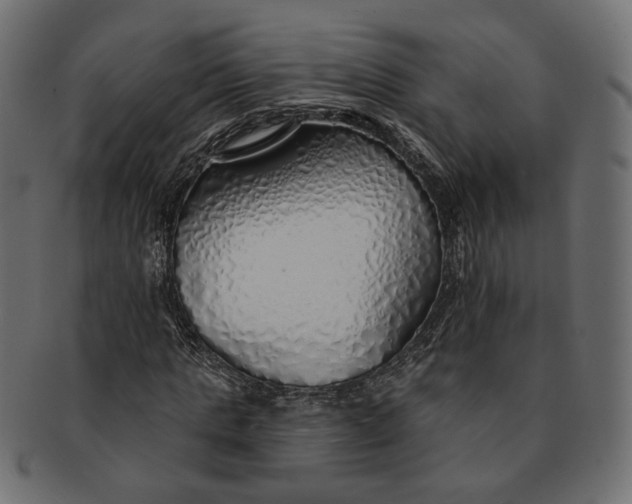 X0000091530821200709071038