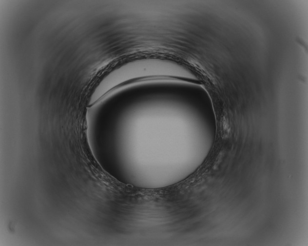 X0000091530822200709071038