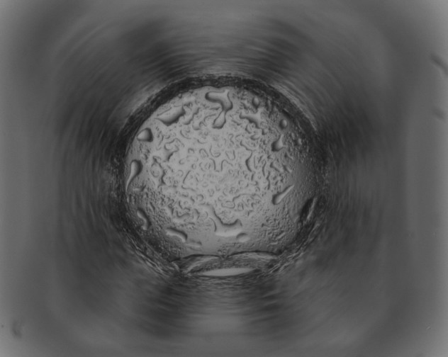 X0000091530823200709071038