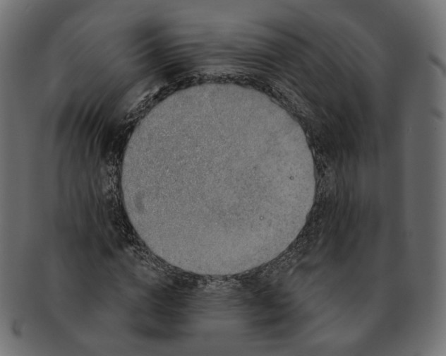 X0000091530824200709071038